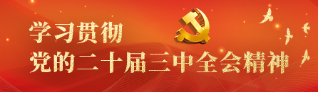 學(xué)習(xí)貫徹黨的二十屆三中全會(huì)精神